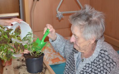 Senioři v domově pro seniory CSP Vodňany si zamilovali zahradničení